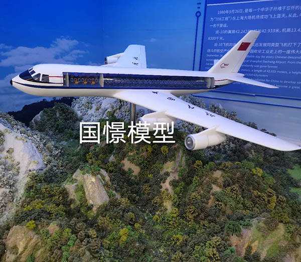 昌吉飞机模型